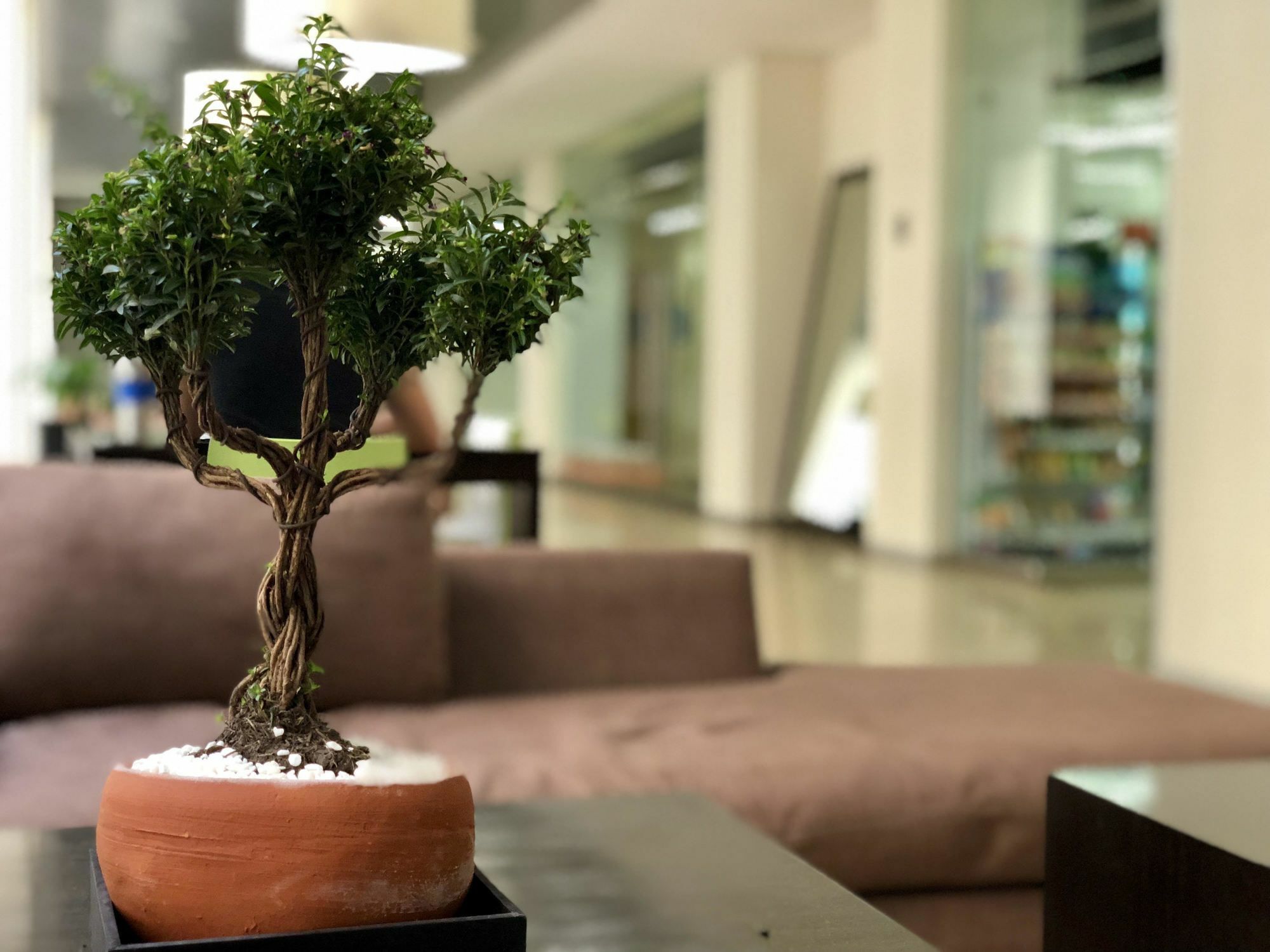 Boutique Apartment Puerta Alameda-801 مدينة مكسيكو المظهر الخارجي الصورة